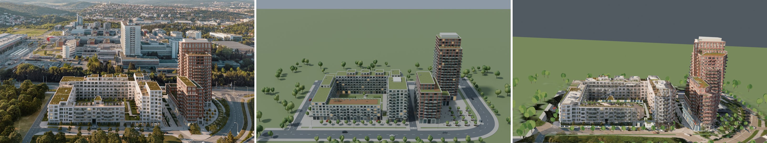 View 2: reference, procedural, projected